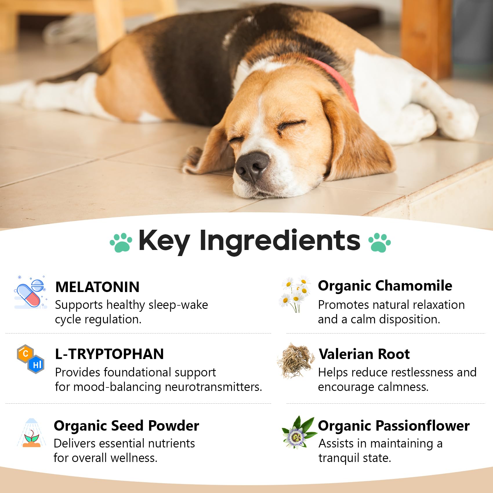 ColEaze Calming Chews chicken-flavor treats appealing to dogs for daily calmness