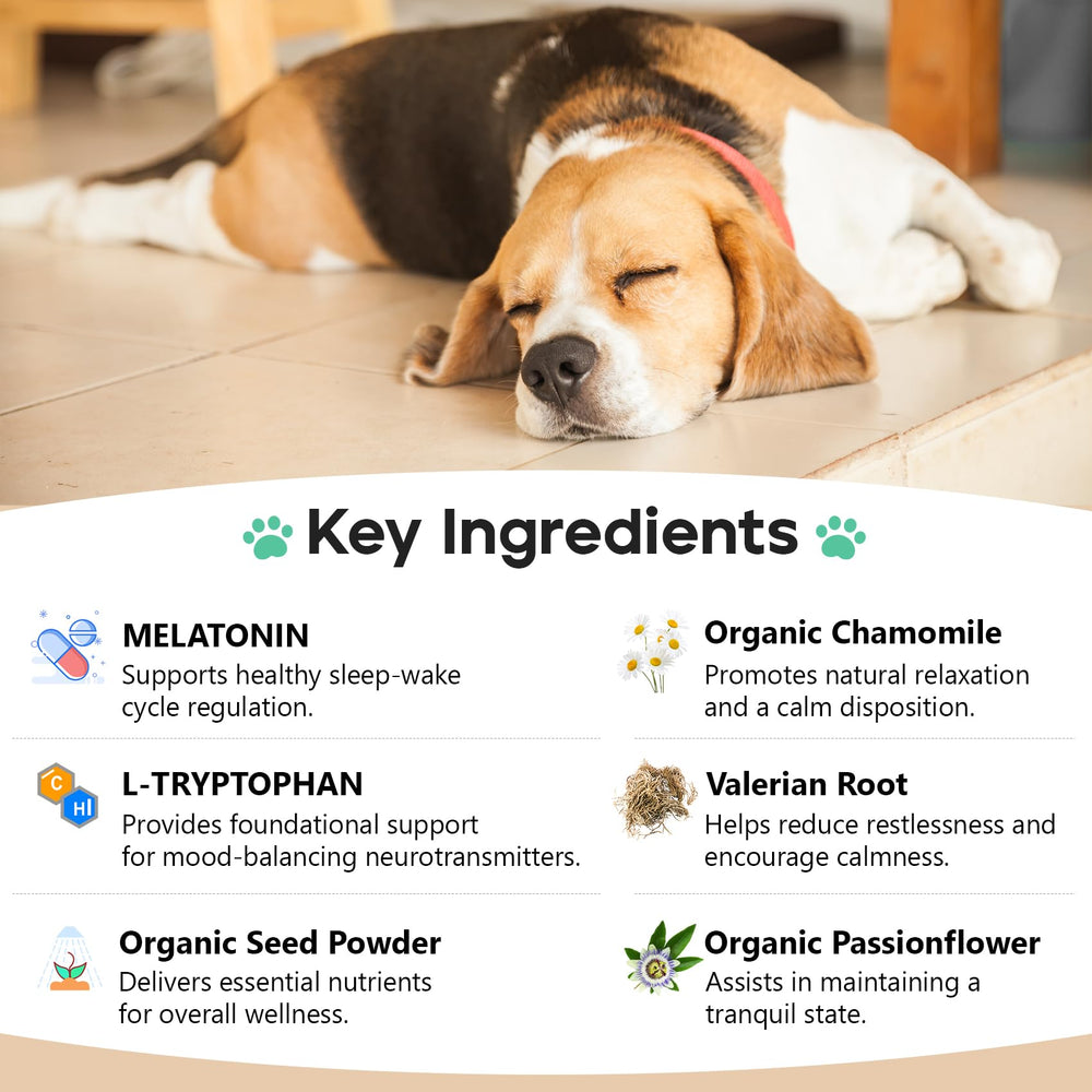 ColEaze Calming Chews chicken-flavor treats appealing to dogs for daily calmness