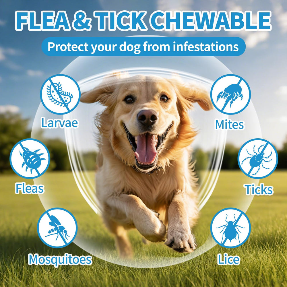 ColEaze chicken-flavor dog chews provide paw-friendly daily wellness