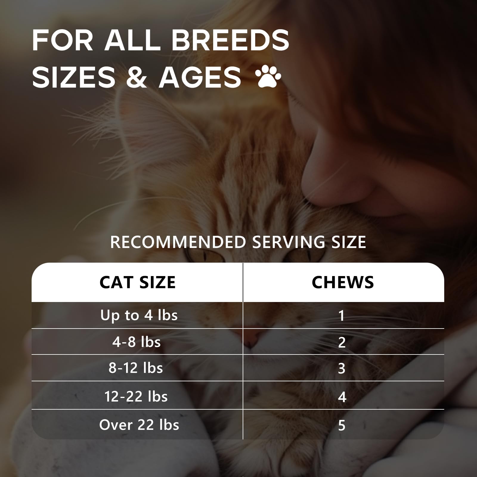 ColEaze daily-calm support helps maintain a peaceful environment for cats