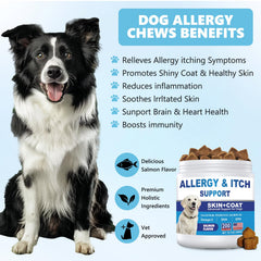 ColEaze Dog Allergy Chews packaging highlighting vet-formulated skin care.