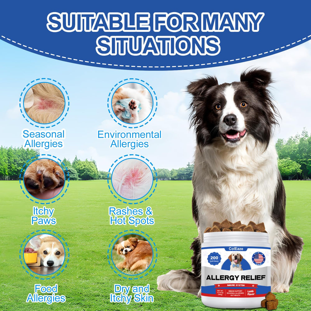 ColEaze dog allergy chews treats lamb-flavor close-up shows tasty texture dogs willingly chew