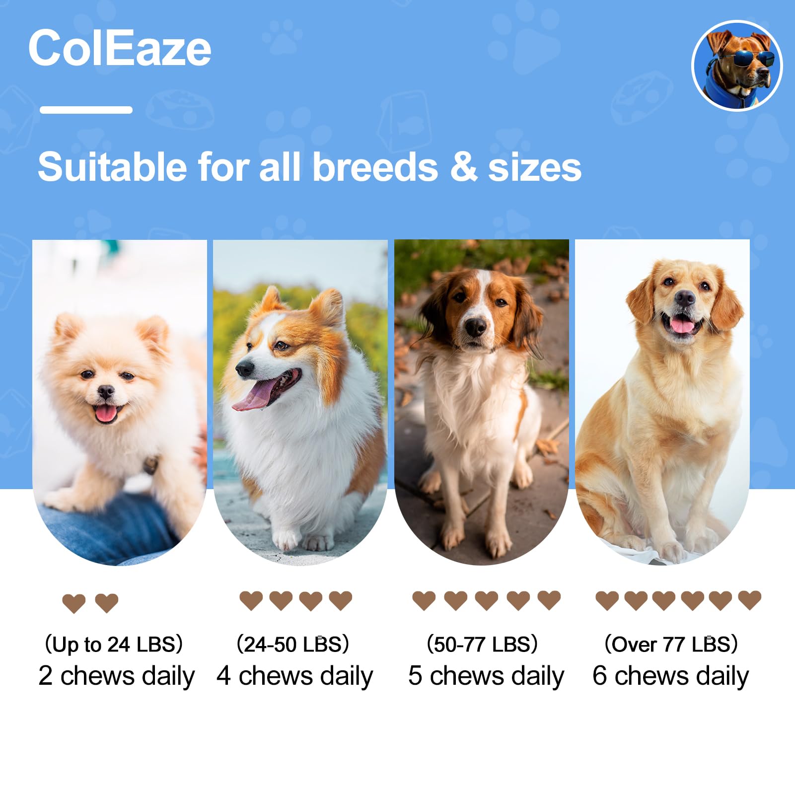 Coleaze lamb-flavored soft chews beside a bowl signaling tasty daily mobility support.