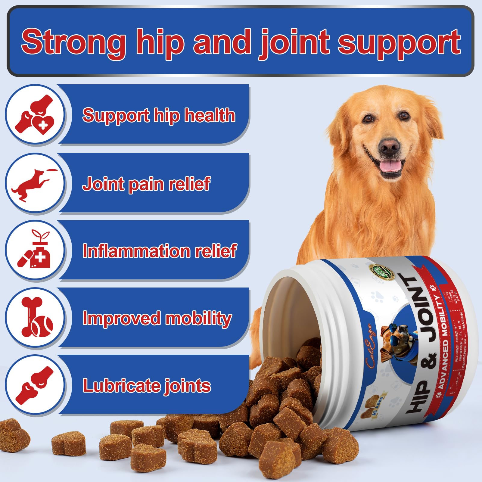 Coleaze dog joint chews in a bowl illustrating daily mobility support.