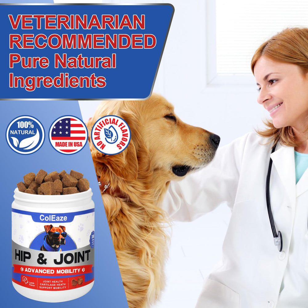 Coleaze dog joint supplement bottle front view showing vet-friendly, long-term joint support.