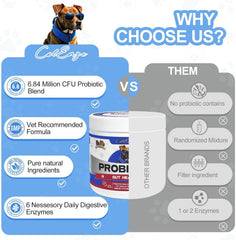 ColEaze probiotic chews shown in daily-use setting for routine care