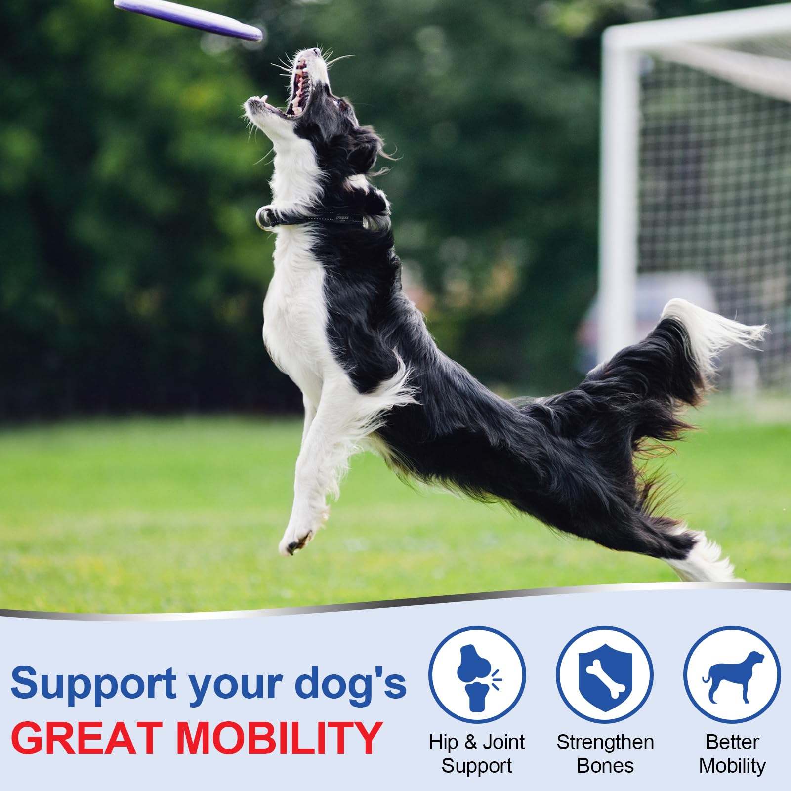 Coleaze dog soft chews for all life stages packaging signaling versatile use.