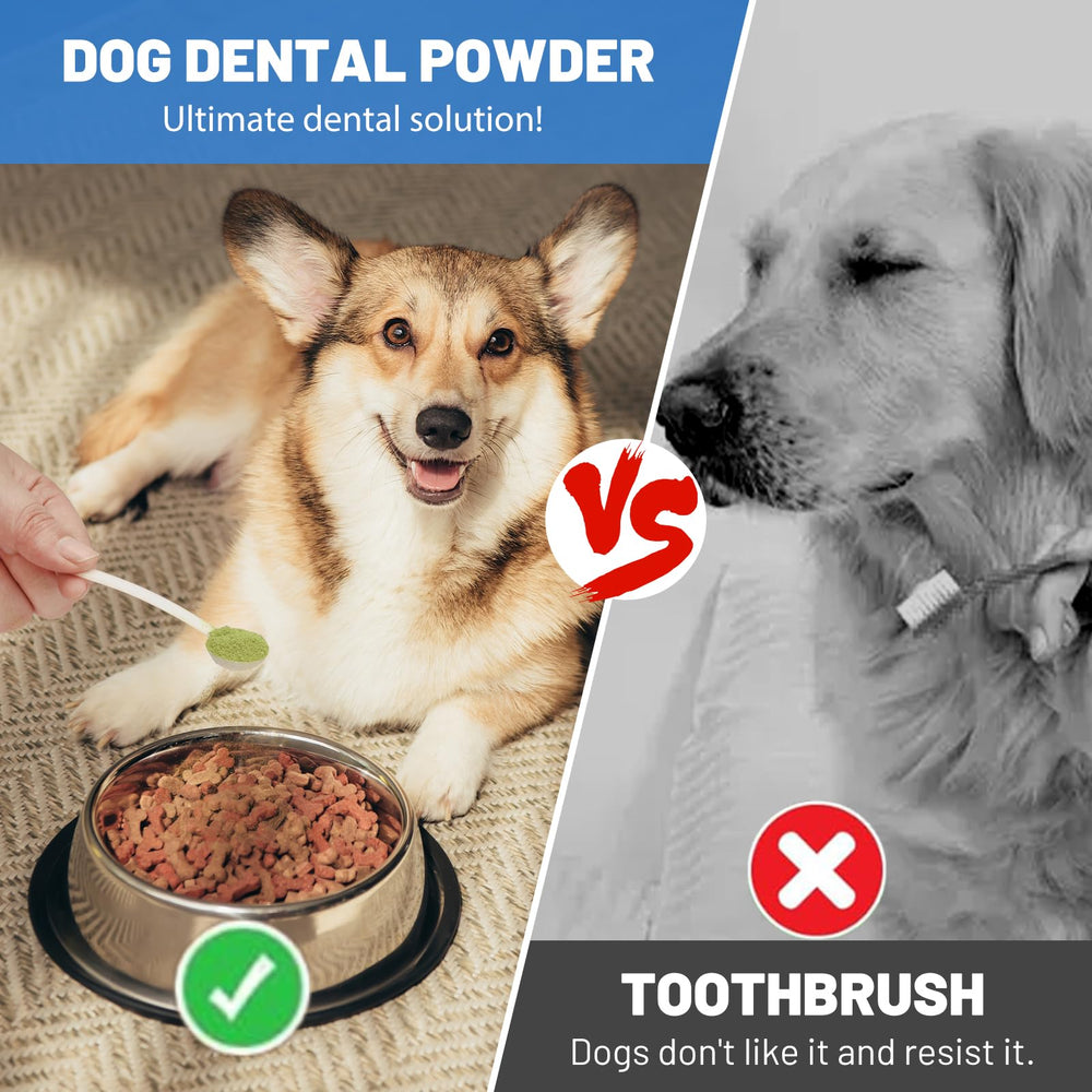Coleaze dog teeth powder breath-freshening action supports a confident smile.