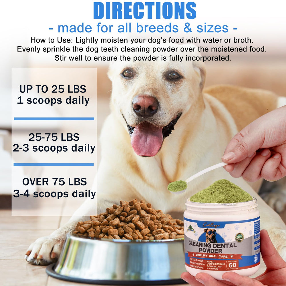 Coleaze dog teeth powder during grooming session promotes clean teeth.