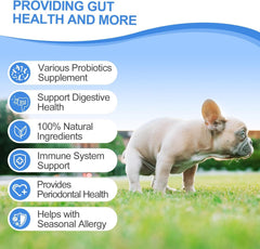 ColEaze dog probiotic chews packaging emphasizes 6B CFUs and 12 strains