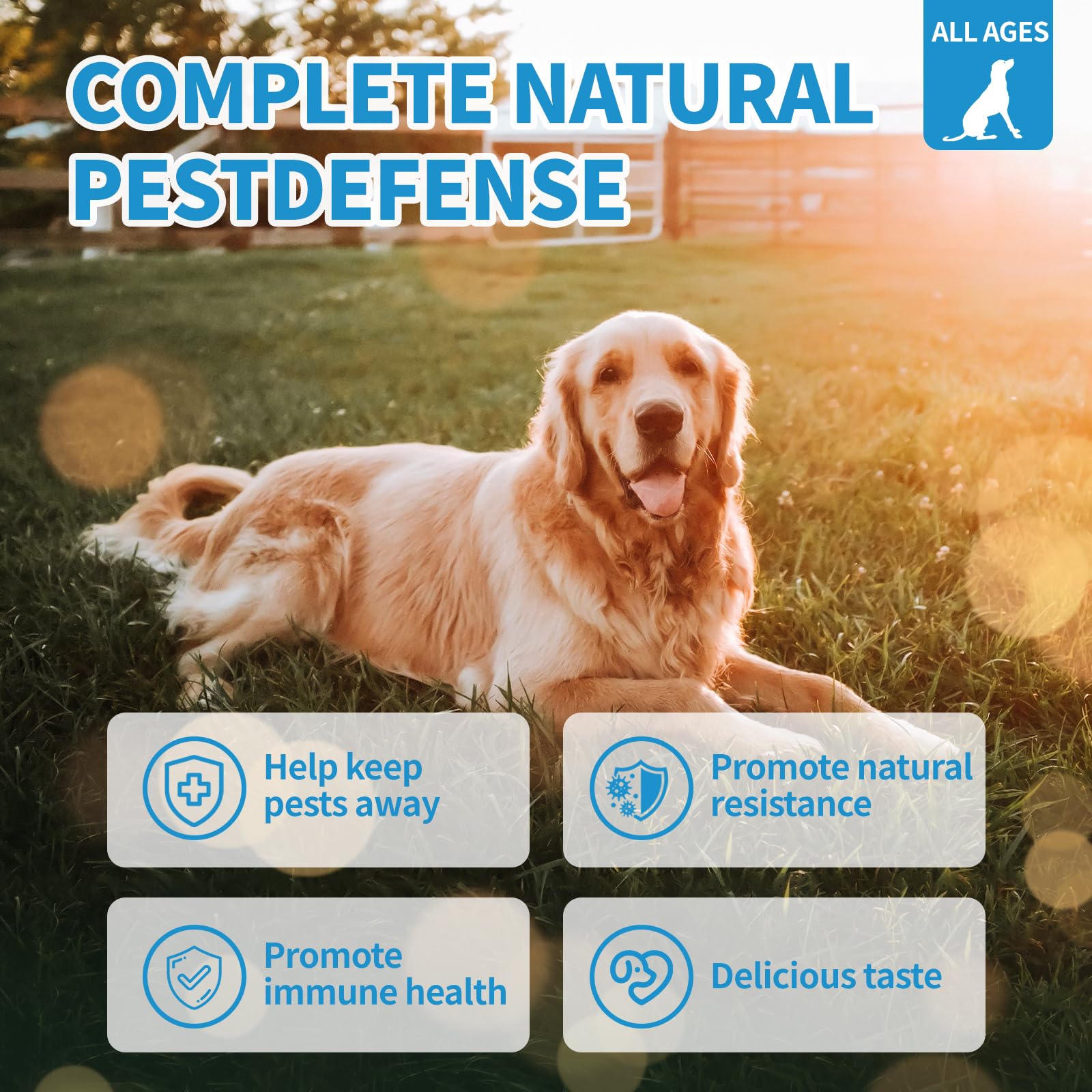 ColEaze skin-coat support chews help dogs look and feel healthier