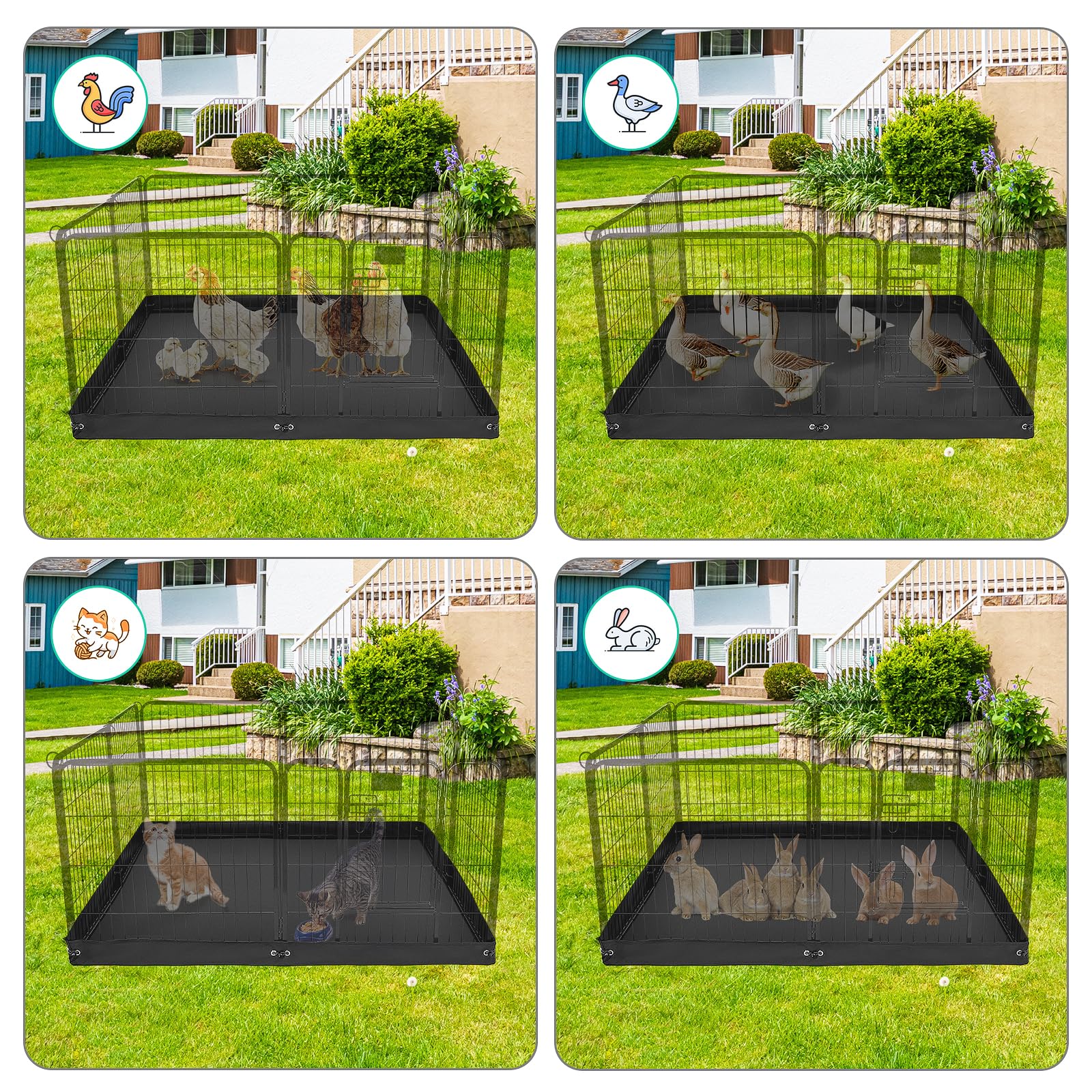 Colewin surface protection keeps floors safe from pet play.