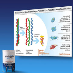 Collagile pet being stirred into dog food demonstrates easy daily joint care.