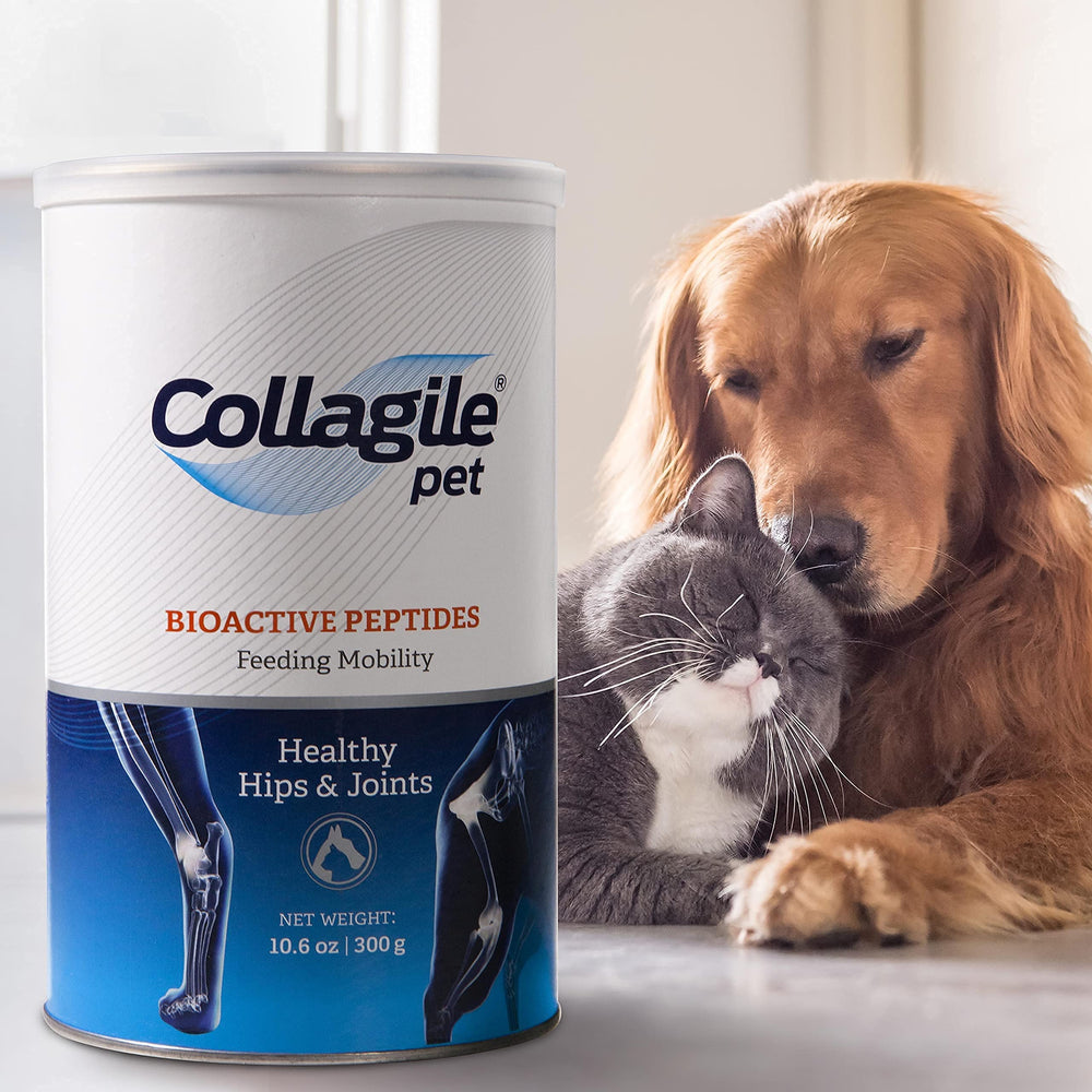 Collagile pet powder being poured over kibble emphasizes convenient use.