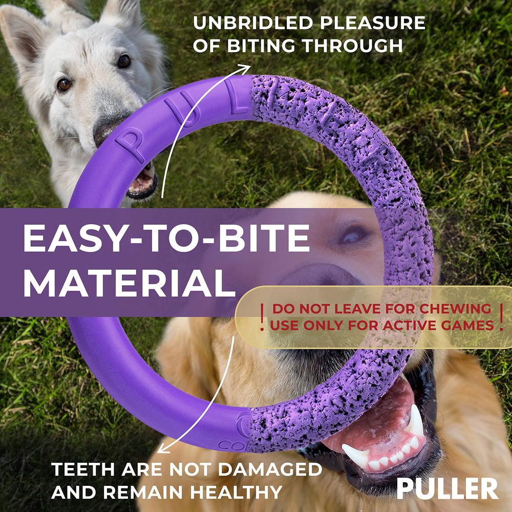 COLLAR Puller water-play mode for splashy fetch and cooling off.