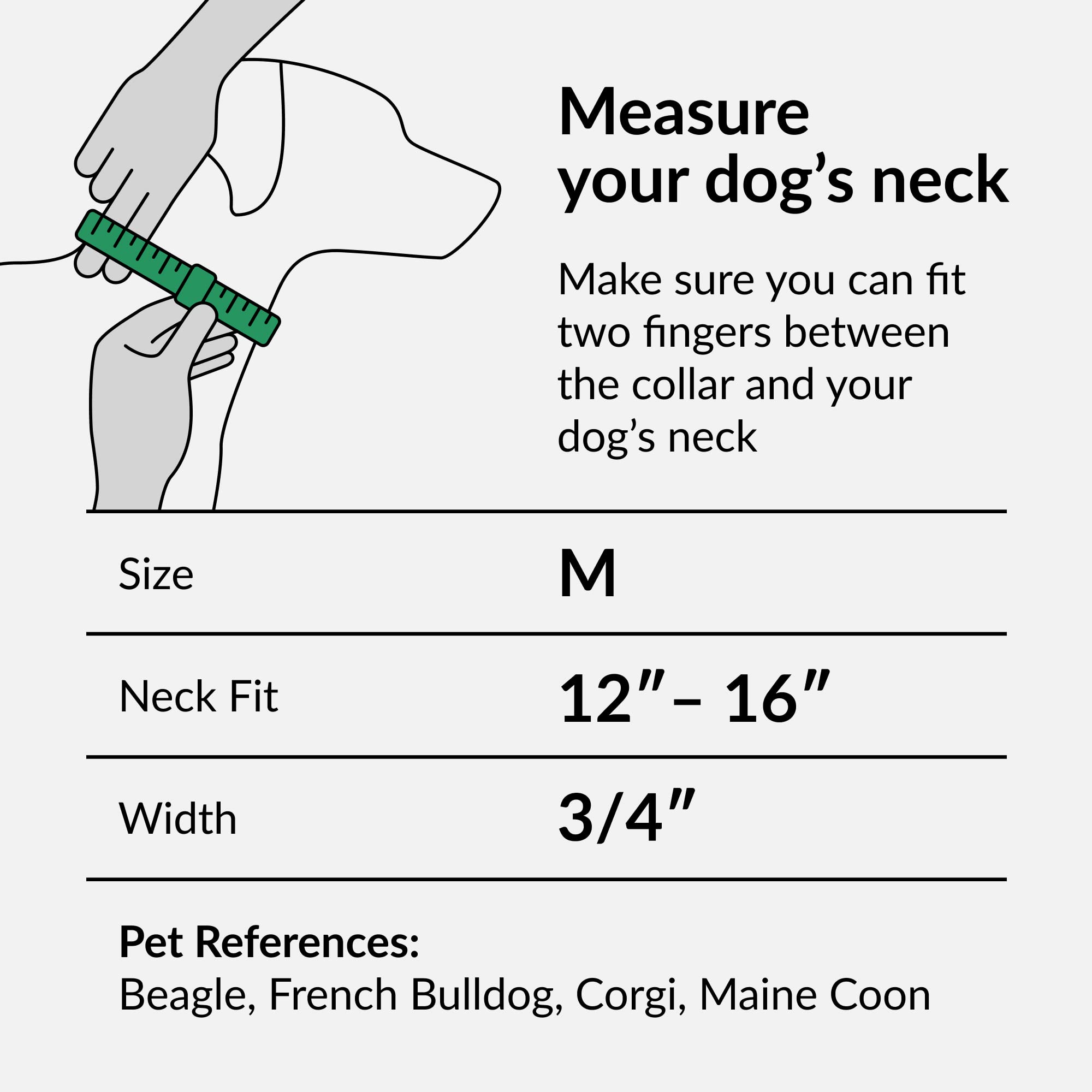 CollarDirect Aztec dog collar featuring tribal geometric pattern during outdoor adventures