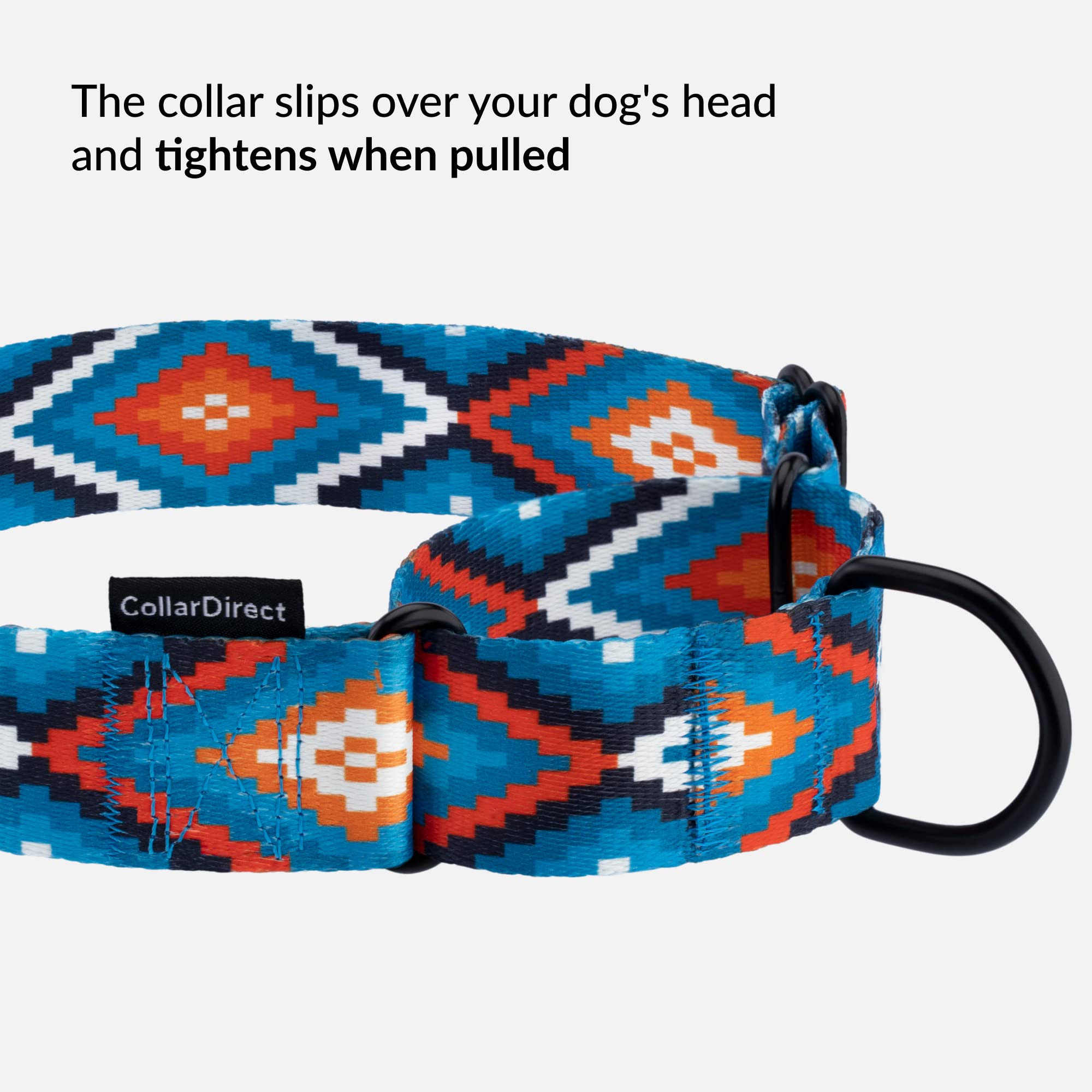 CollarDirect Aztec Martingale Collar blue tribal pattern perfect for everyday wear