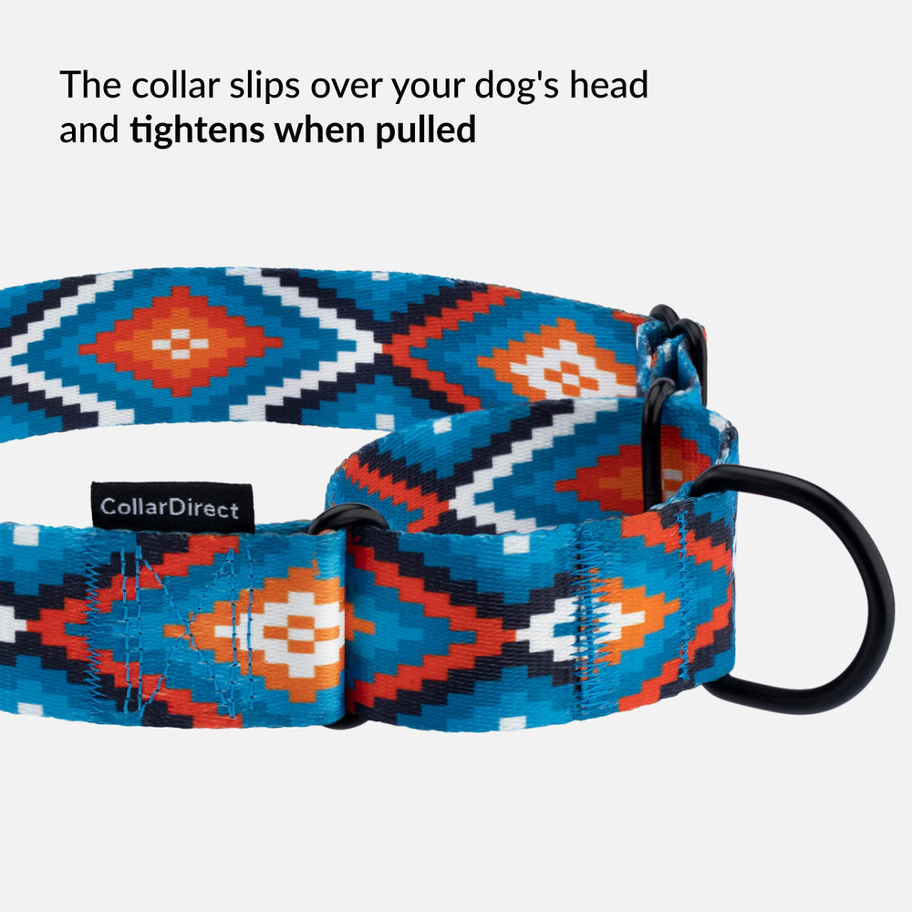 CollarDirect Aztec Martingale Collar blue tribal pattern perfect for everyday wear