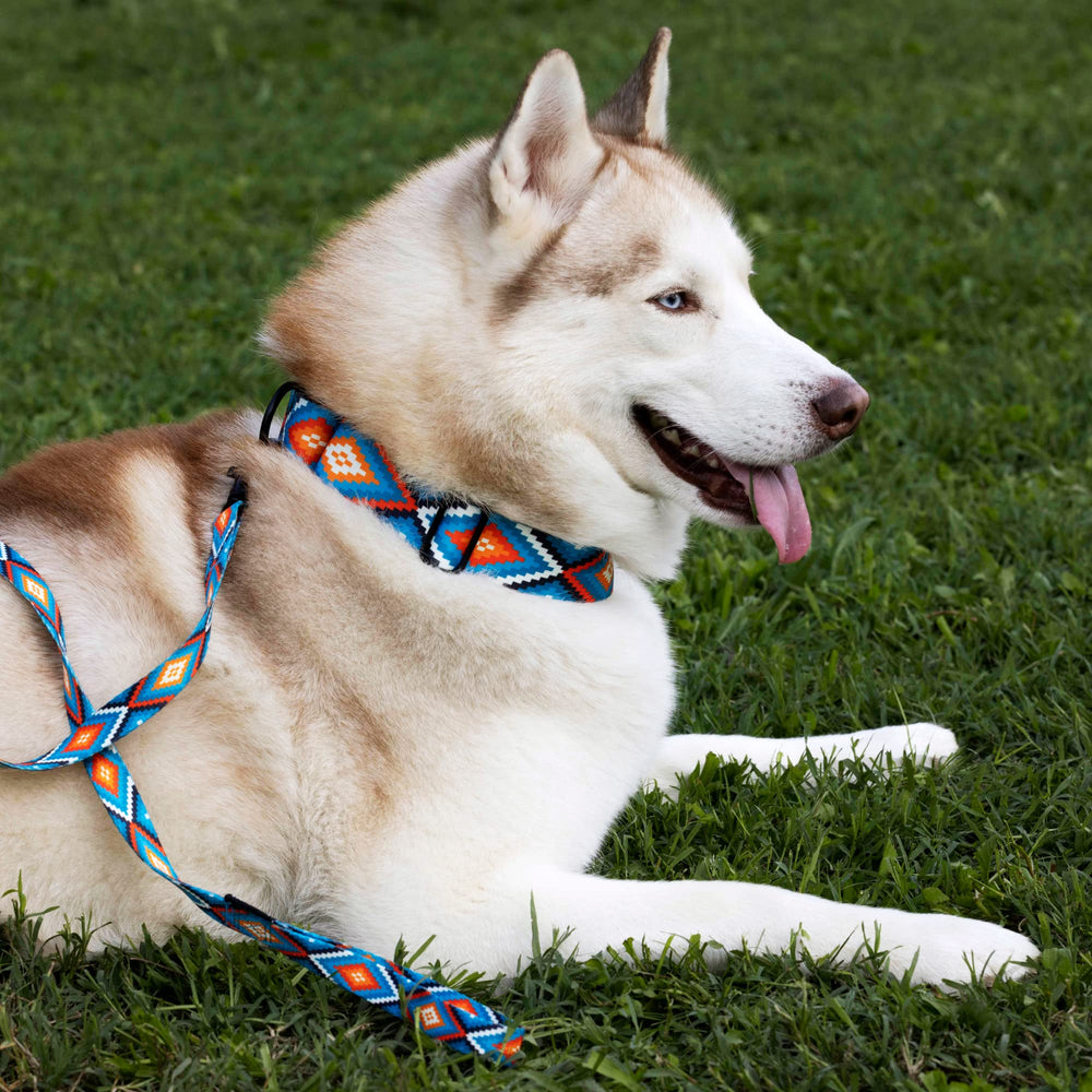 CollarDirect Aztec Martingale Collar blue tribal pattern easy to wash and color-safe
