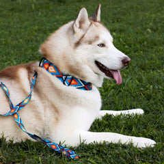 CollarDirect Aztec Martingale Collar blue tribal pattern easy to wash and color-safe