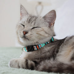 CollarDirect tribal pattern collar with eco-friendly buckle supports safe exploration.