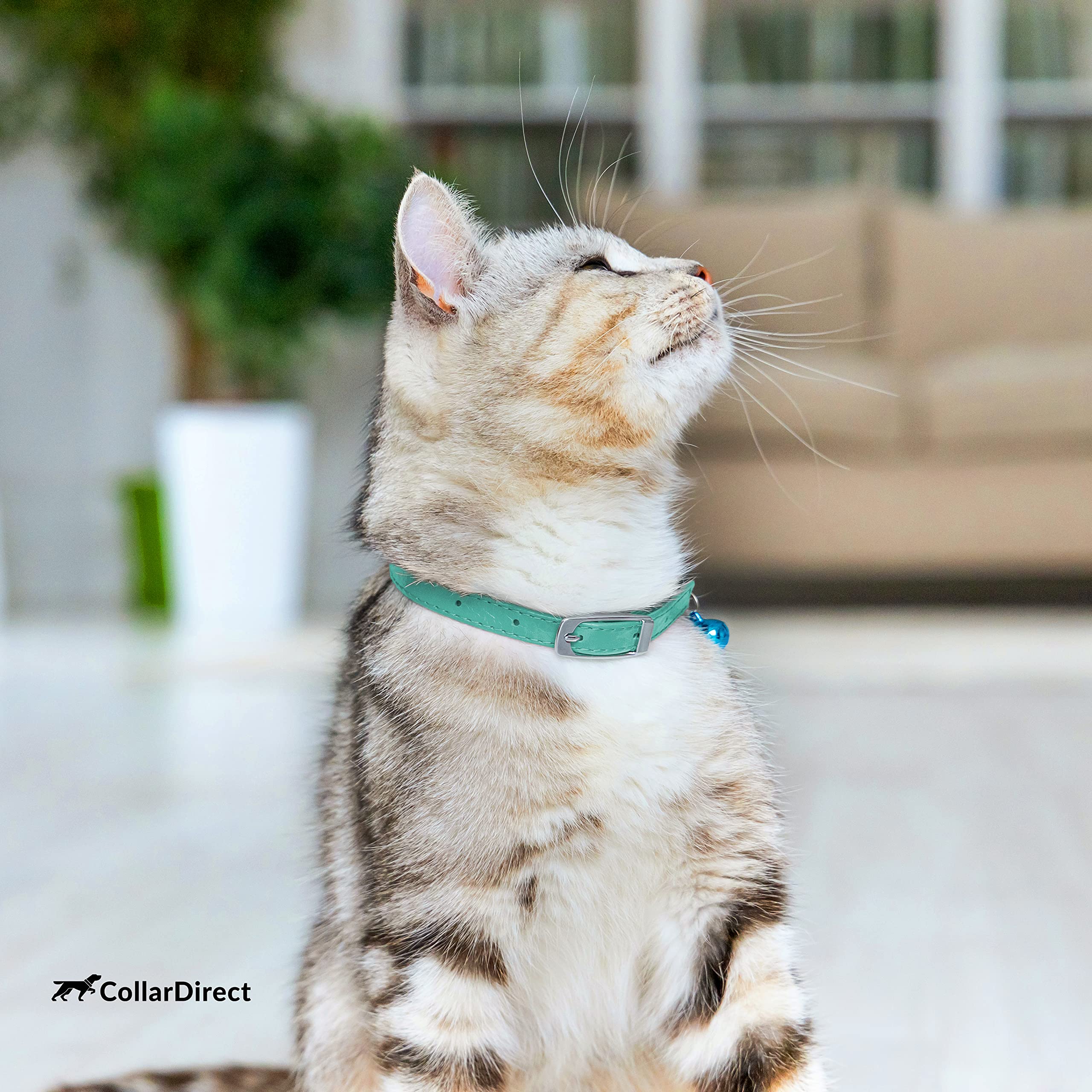 CollarDirect cat collar with bright bell color variations for visibility