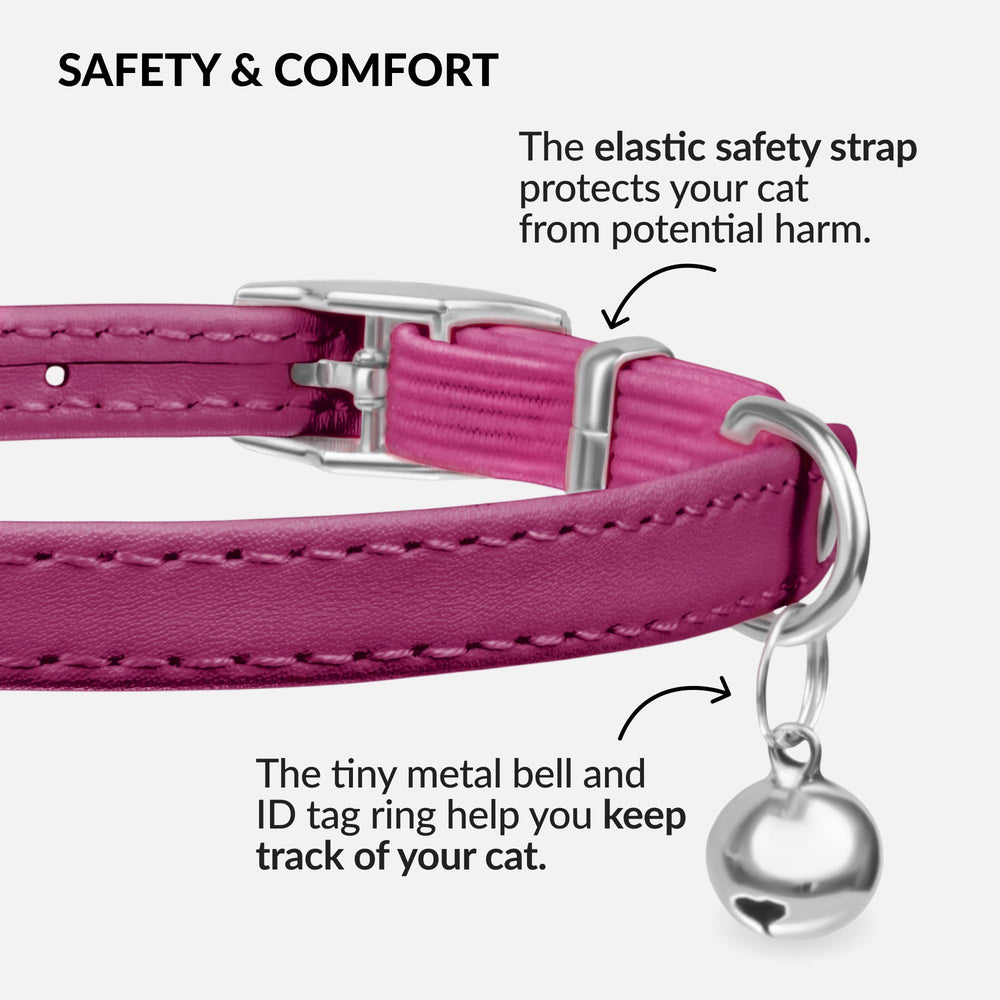 CollarDirect cat collar with elastic safety strap reduces snag risk during playtime