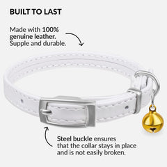 CollarDirect cat collar with elastic safety strap shown for quick release.