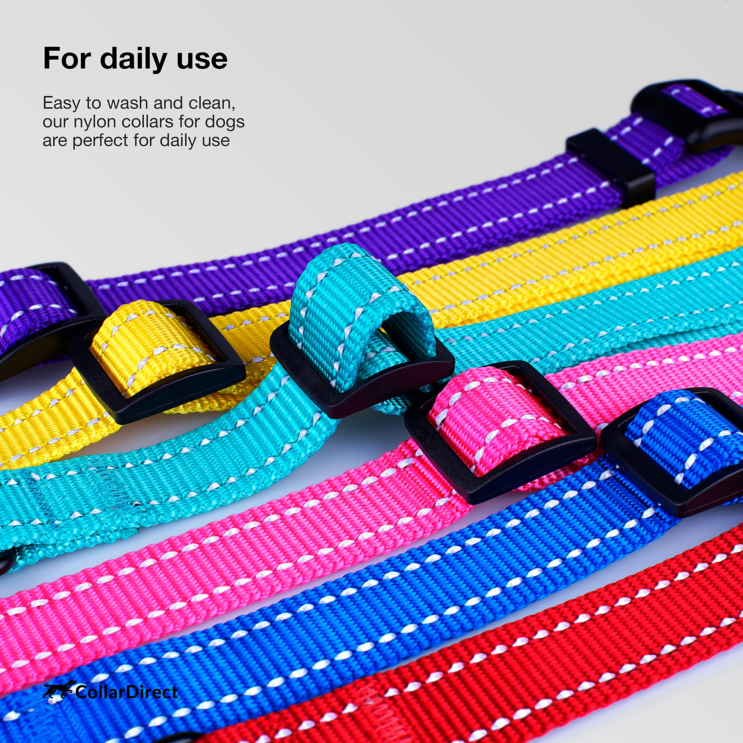 CollarDirect con correa a juego para un conjunto coordinado.