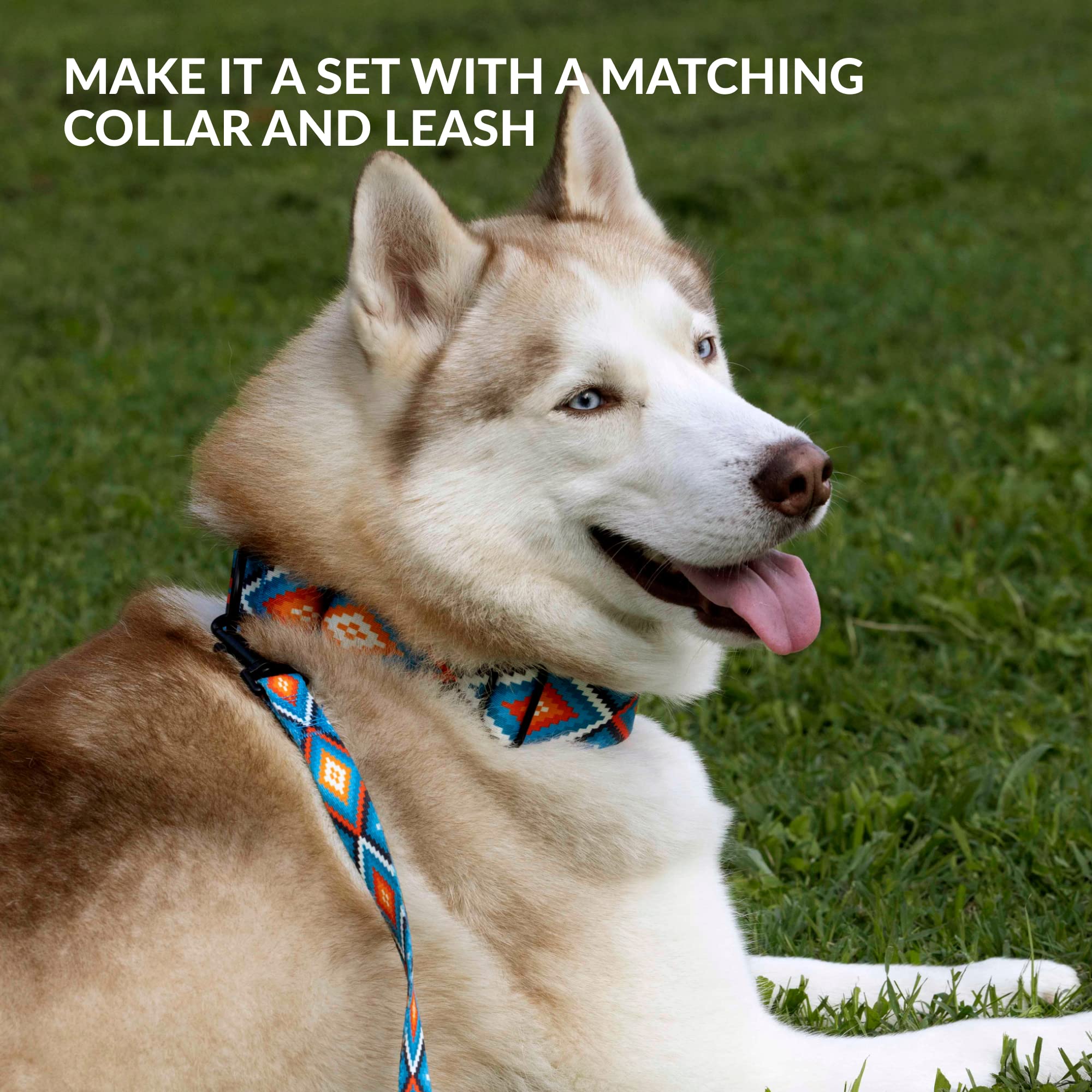 CollarDirect dog muzzle helps curb barking and chewing during outings