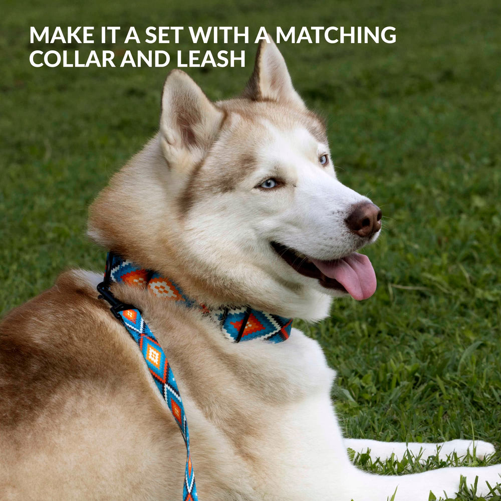 CollarDirect dog muzzle helps curb barking and chewing during outings
