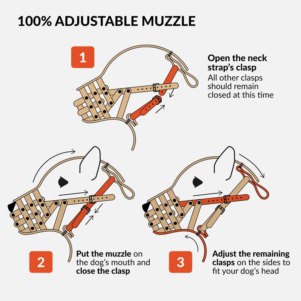 CollarDirect leather muzzle paired with matching collar and leash.