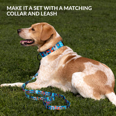 CollarDirect dog muzzle breathable design allows drinking during walks.