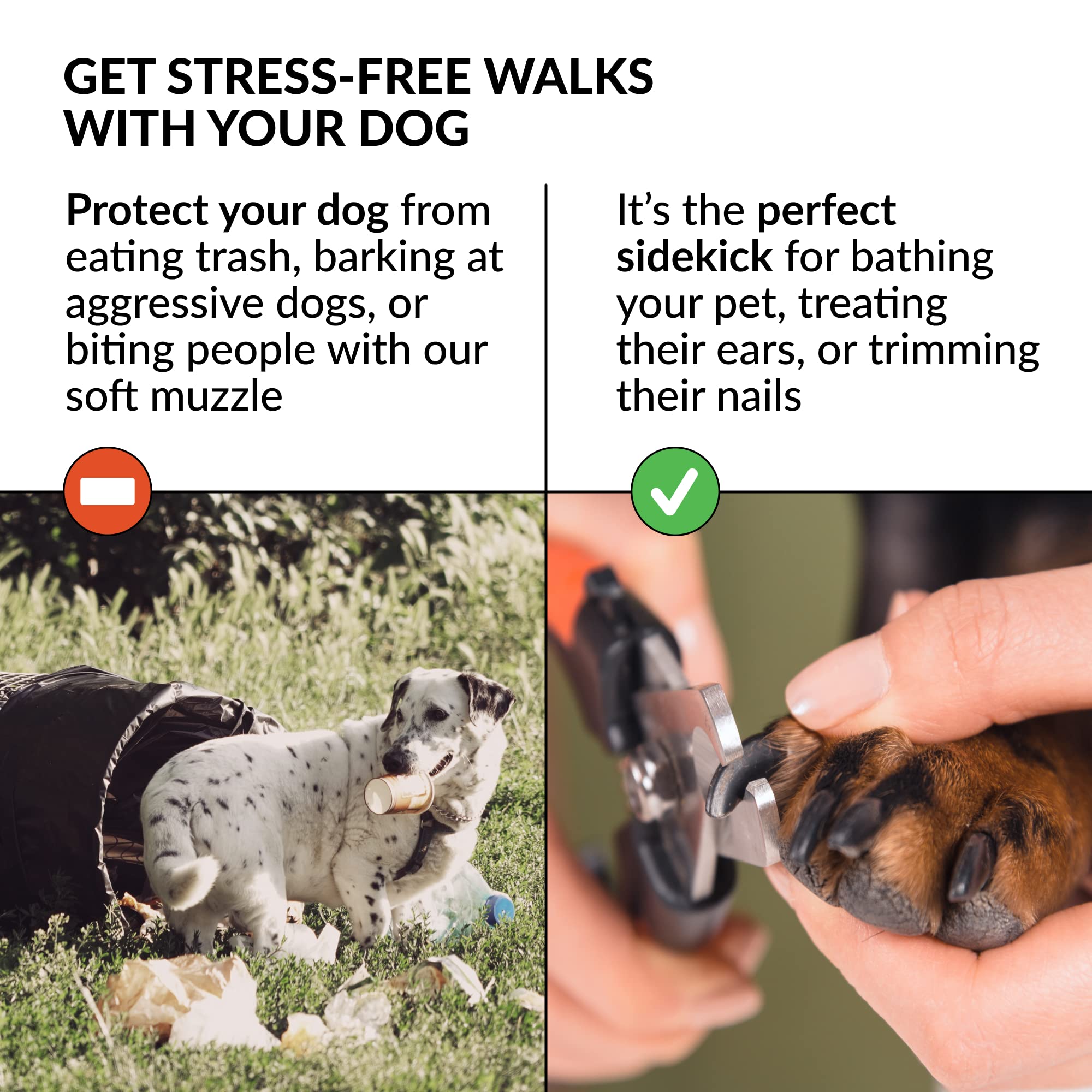 CollarDirect dog muzzle as stylish accessory pairs with collars and leashes.