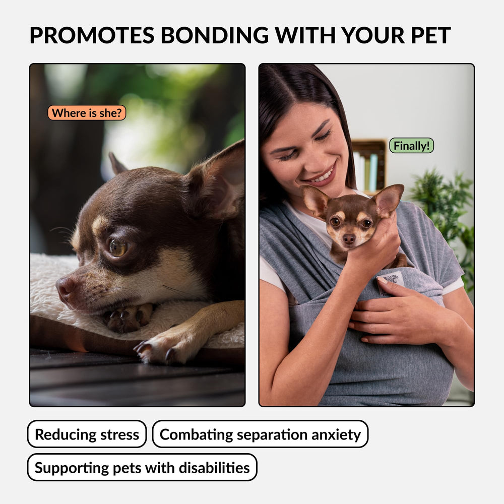 CollarDirect dog sling secure-fit strap illustrates dependable security during outings.