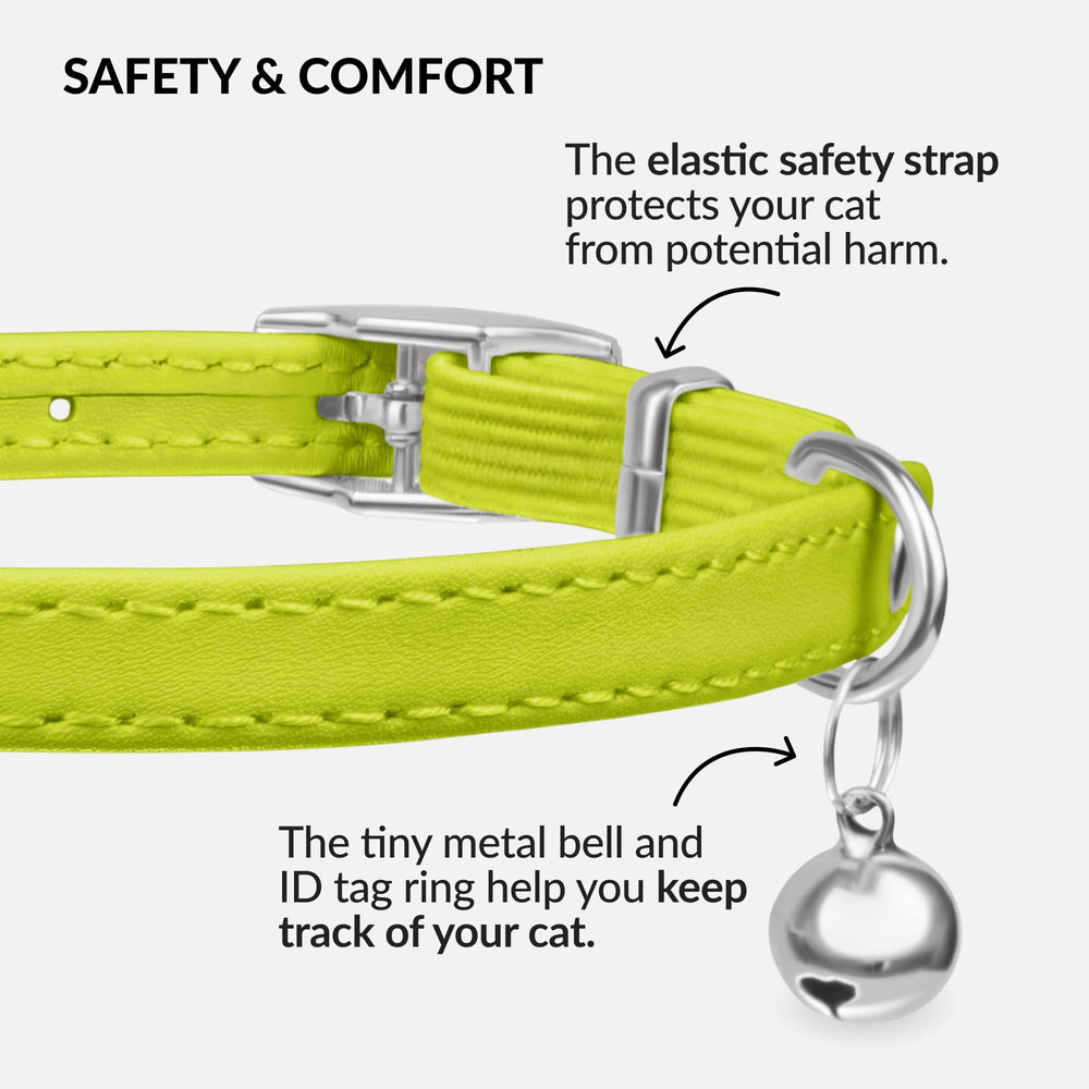 CollarDirect kitten collar with elastic release for snag safety