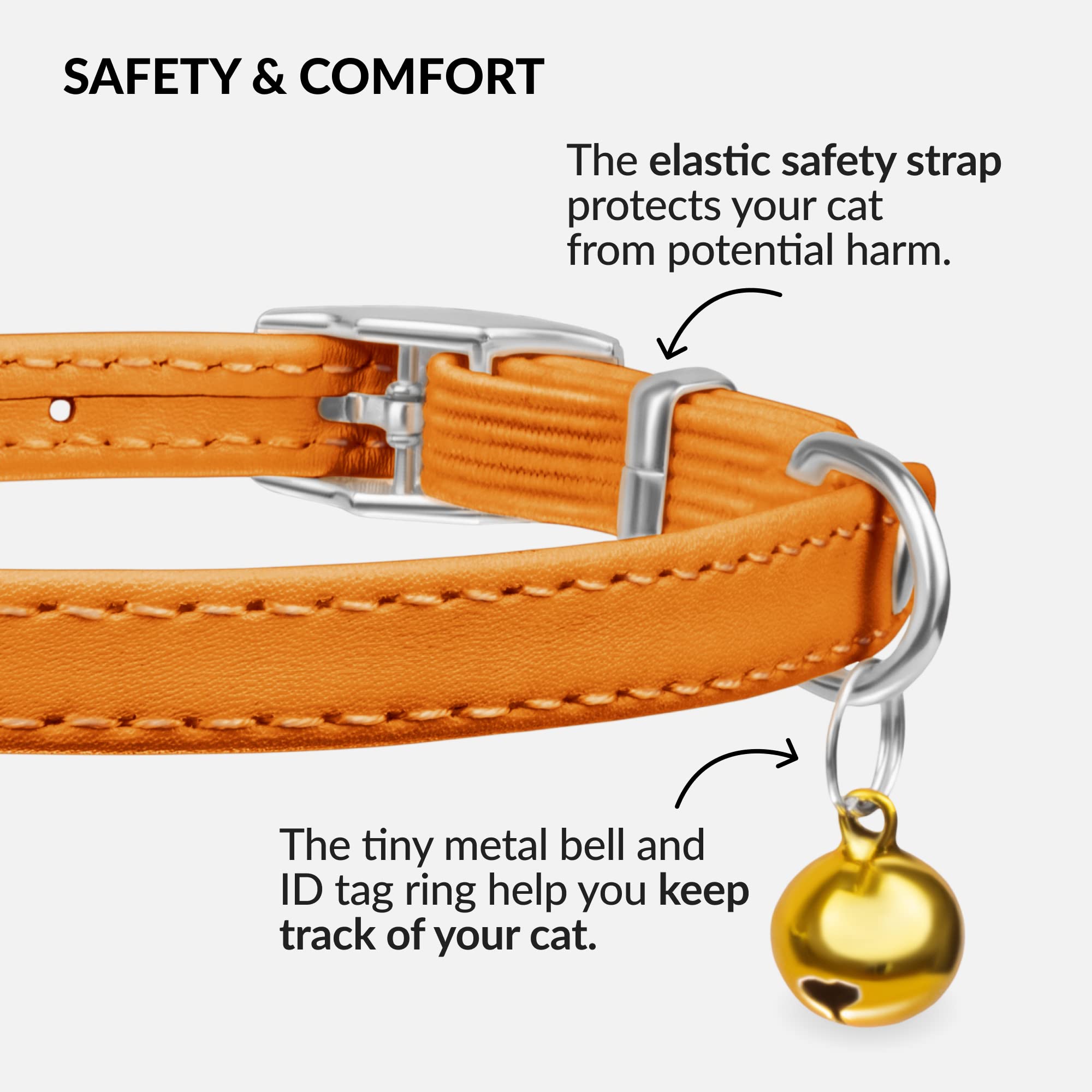CollarDirect kitten cat collar orange neck fit shows comfortable adjustable design