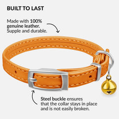 CollarDirect leather cat collar with elastic safety strap for easy release