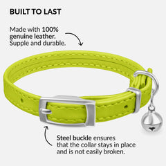 CollarDirect lime green leather cat collar for high visibility