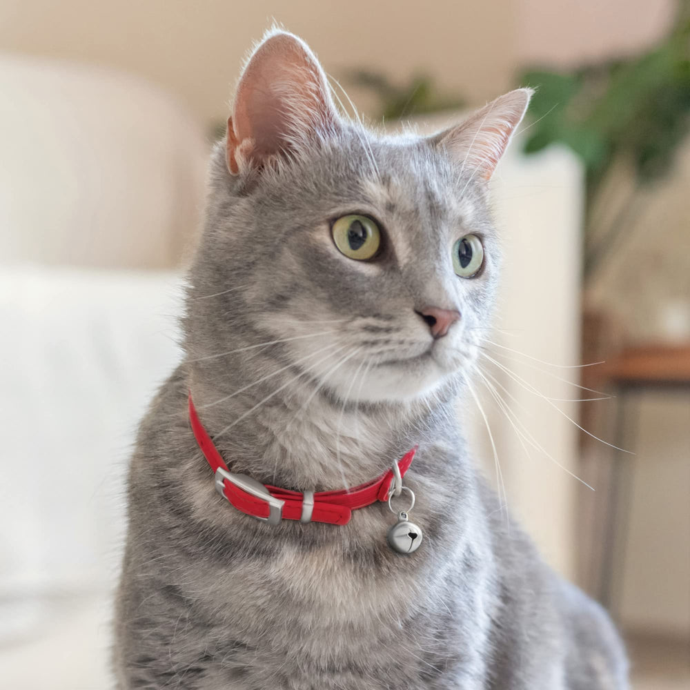 CollarDirect leather collar with metal bell—closeup shows audible alert and fashion detail.