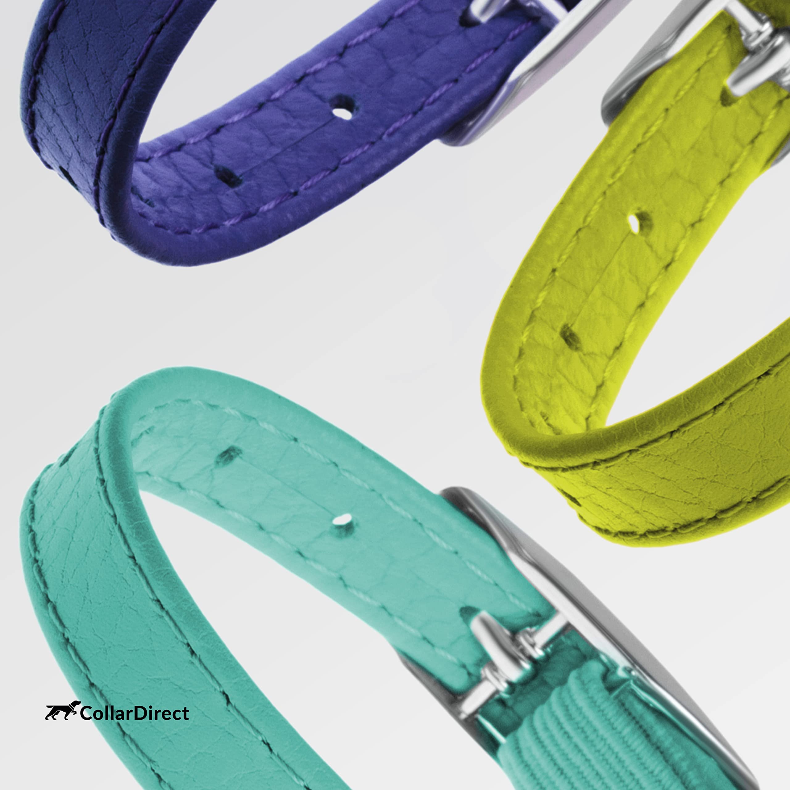CollarDirect leather leash display with collar set
