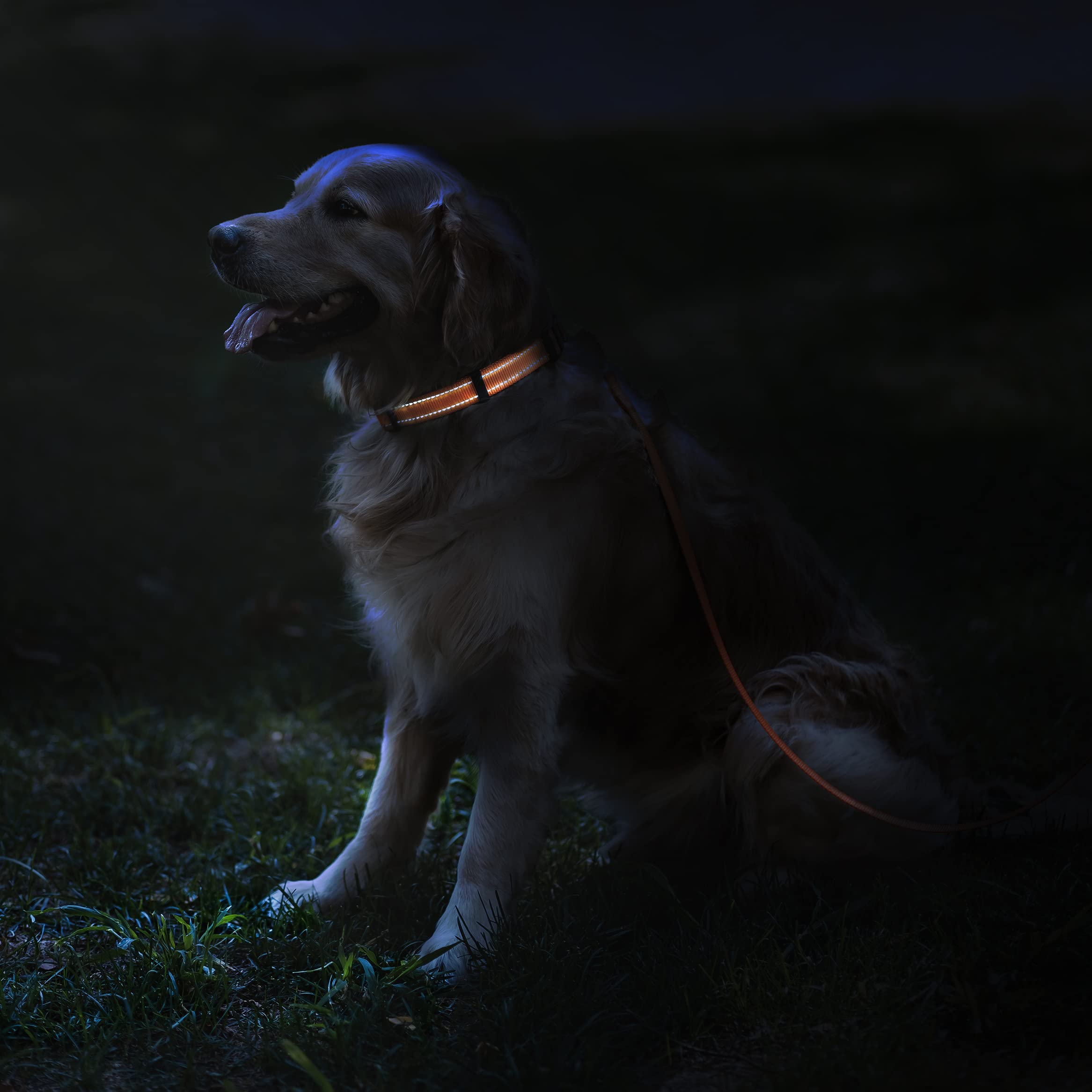 CollarDirect lightweight nylon reflective collar designed for comfortable active adventures and swimming.