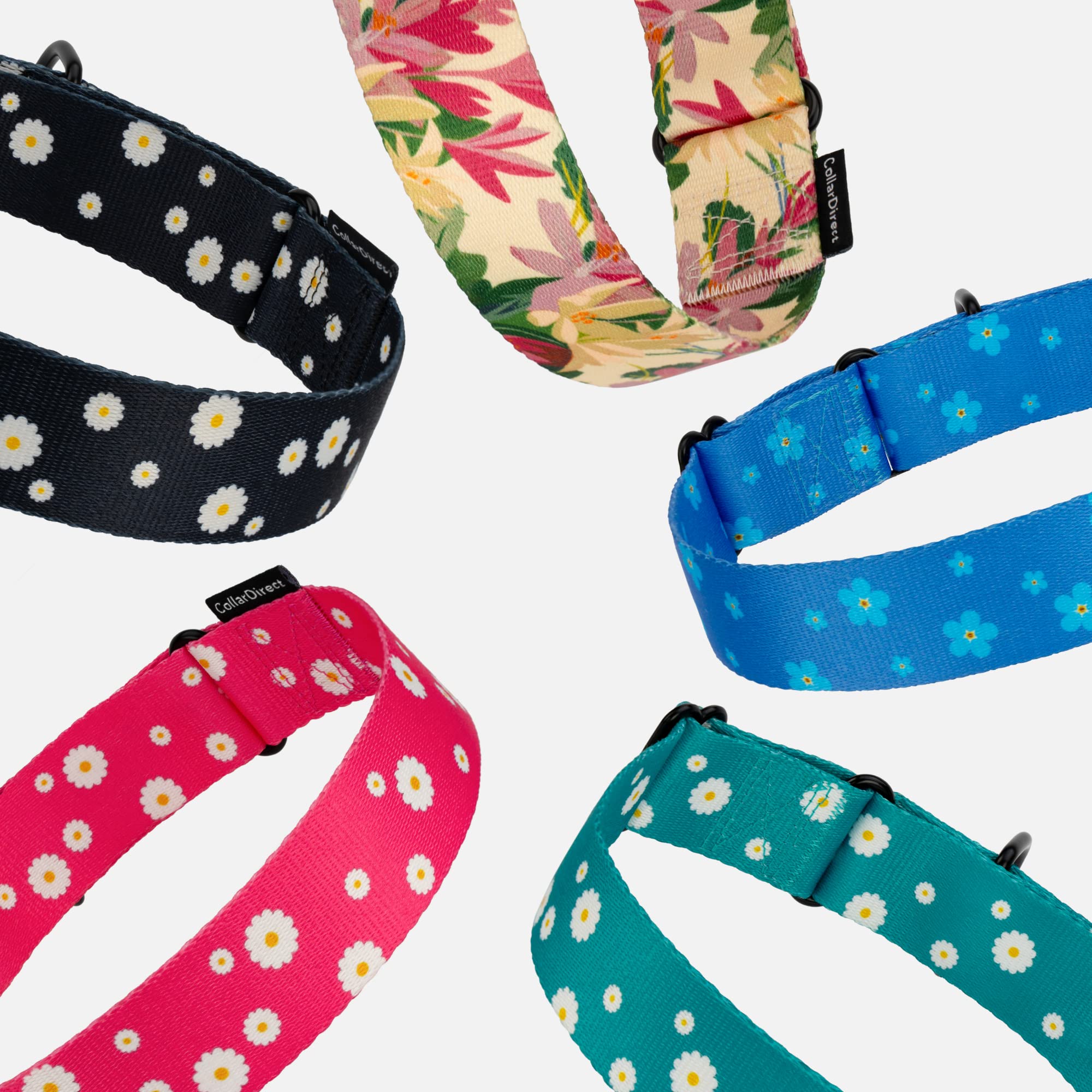 CollarDirect Martingale floral azul marino, colores atractivos para perros activos durante el entrenamiento.