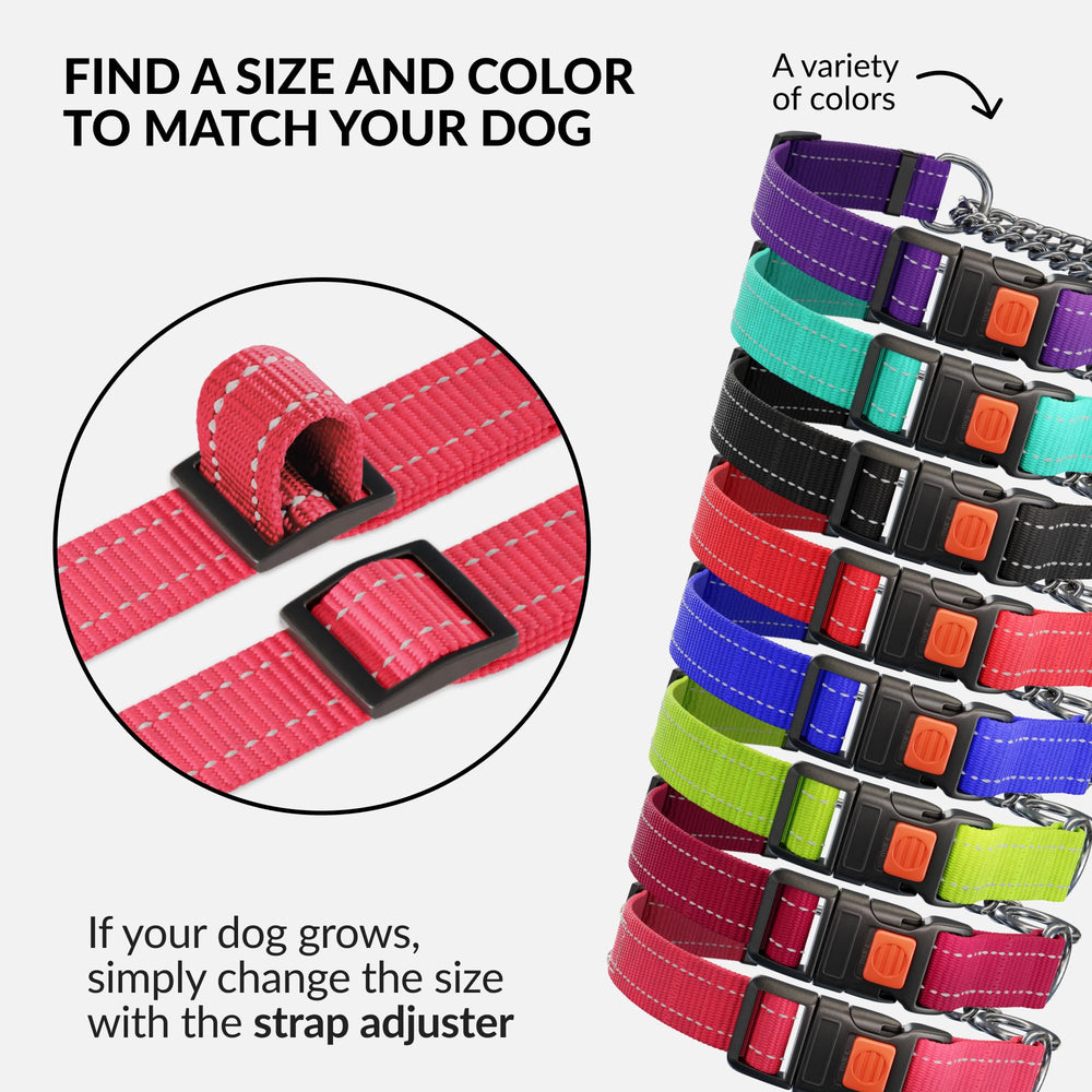 CollarDirect pink martingale collar suited for daily training and safety