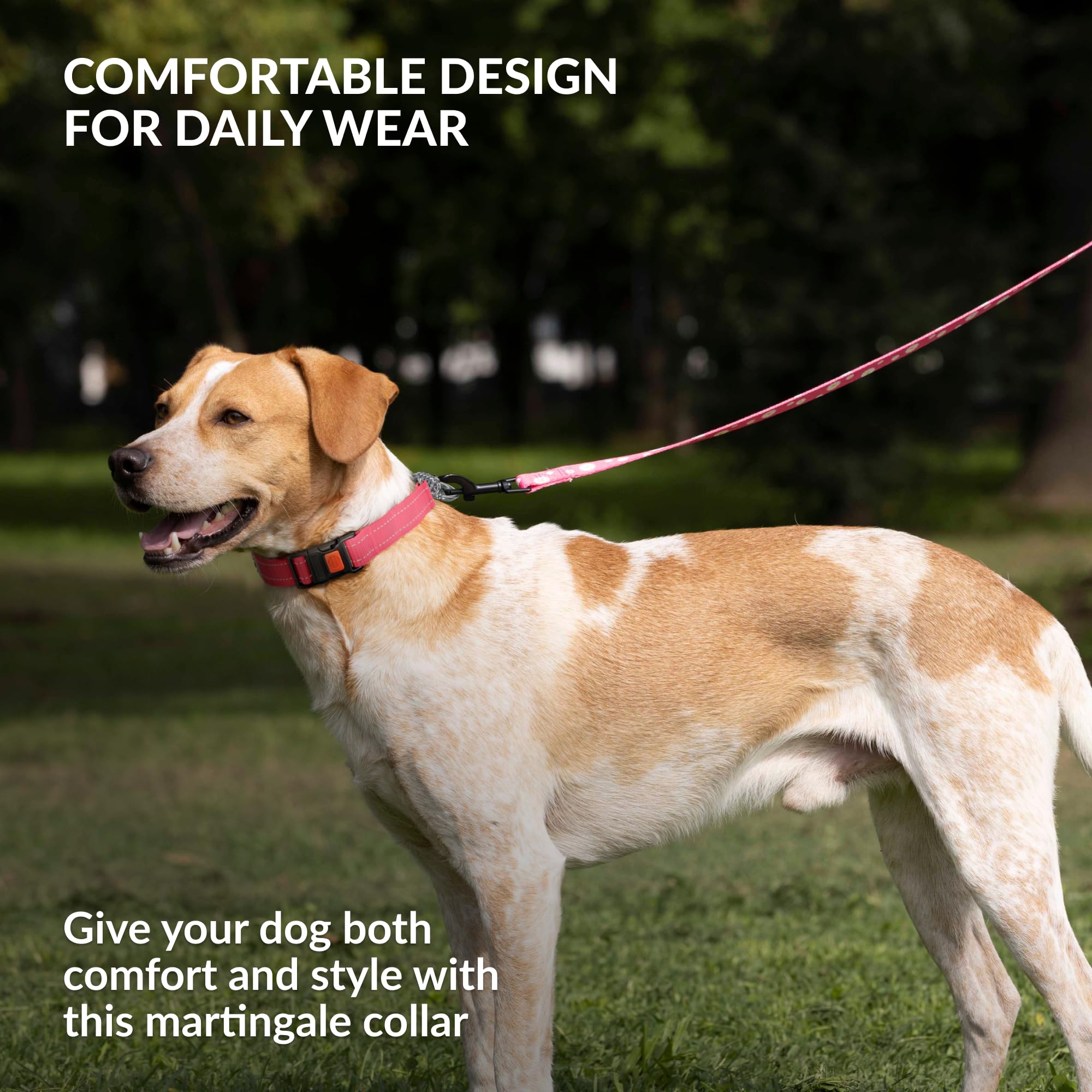 CollarDirect pink martingale collar highlighting soft nylon texture