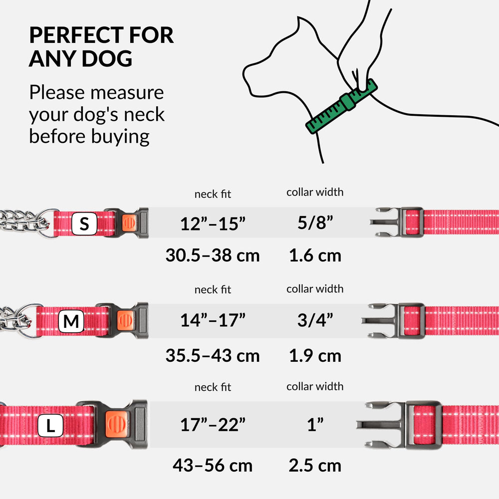 CollarDirect pink martingale collar with O-rings for secure attachments