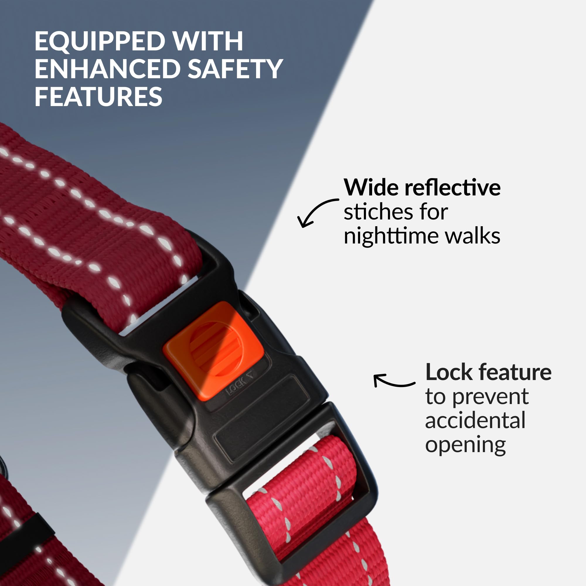 CollarDirect pink martingale collar showing stainless steel chain durability