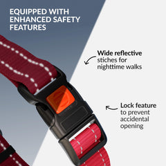 CollarDirect pink martingale collar showing stainless steel chain durability