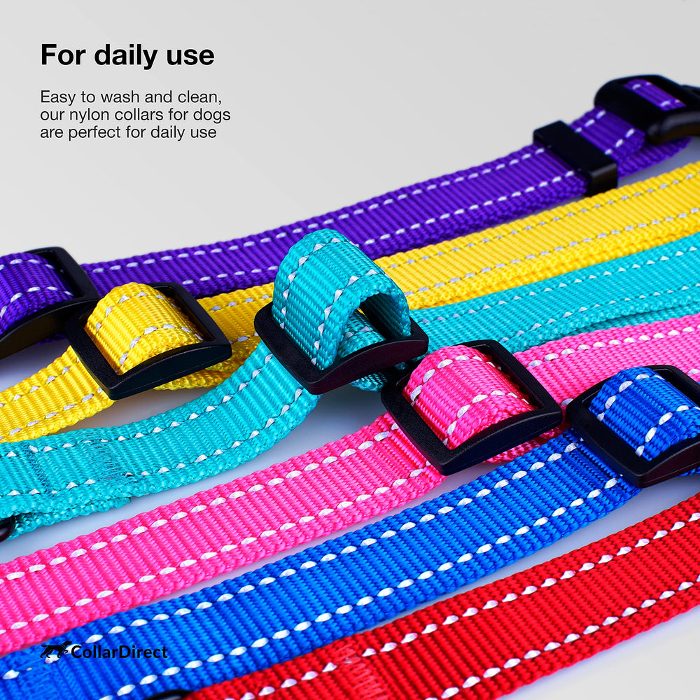 CollarDirect matching leash option complements the reflective collar for complete safety and style.