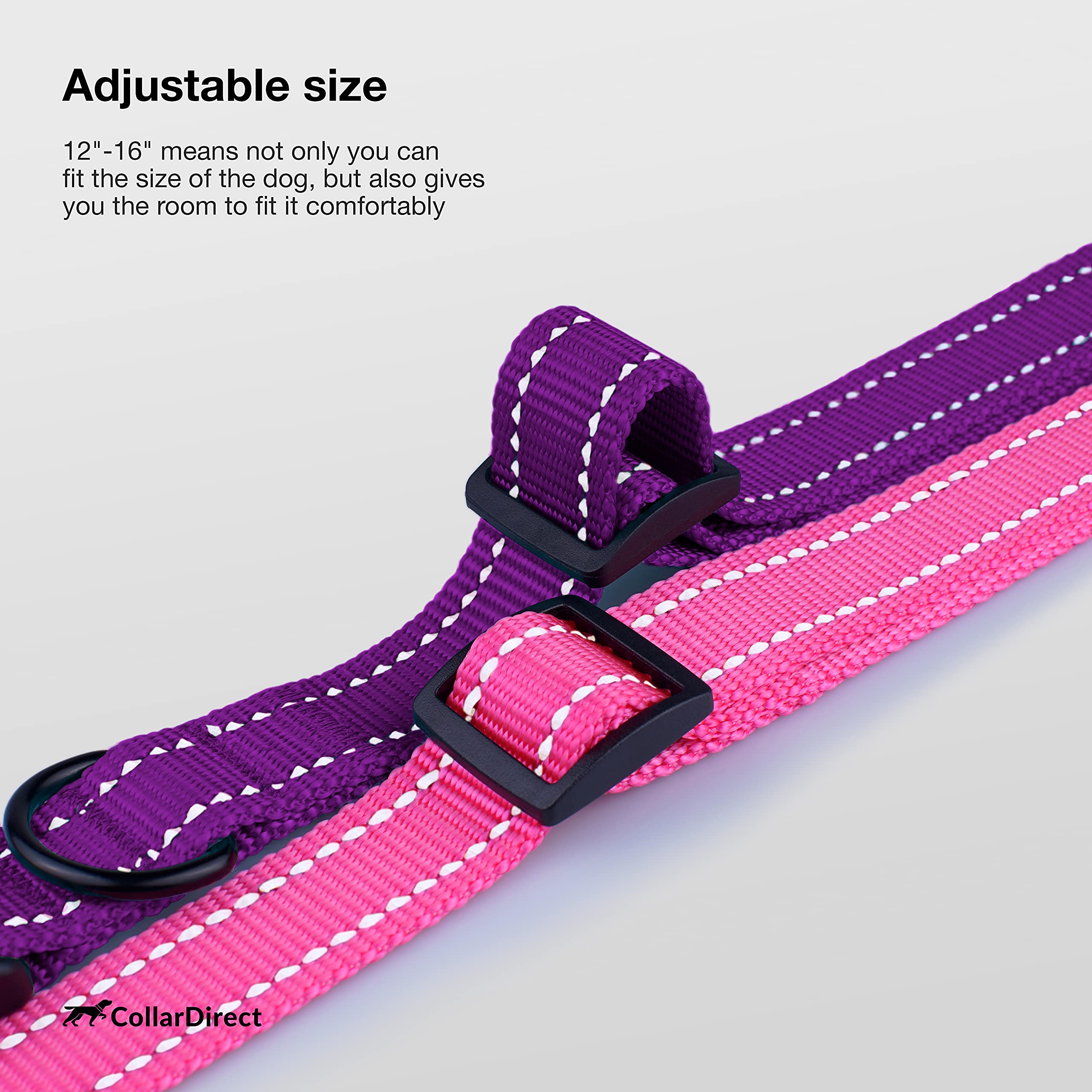 CollarDirect neck size guide helps owners pick the right fit from Beagle to Malinois.